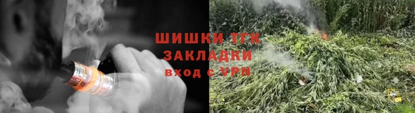 скорость Каменка