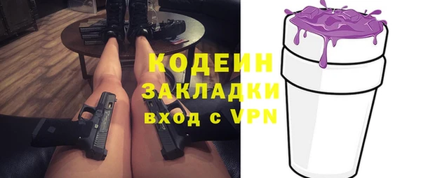 стаф Каменногорск