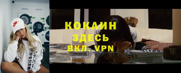бошки Снежногорск