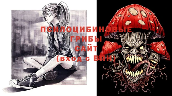 скорость Каменка